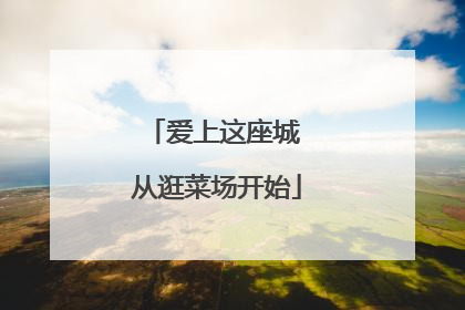 爱上这座城 从逛菜场开始