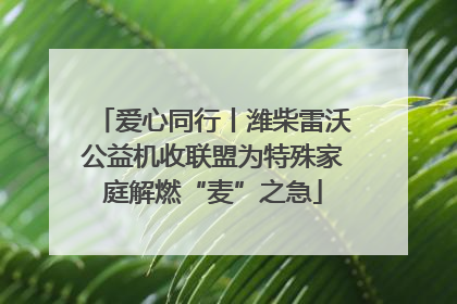 爱心同行丨潍柴雷沃公益机收联盟为特殊家庭解燃“麦”之急