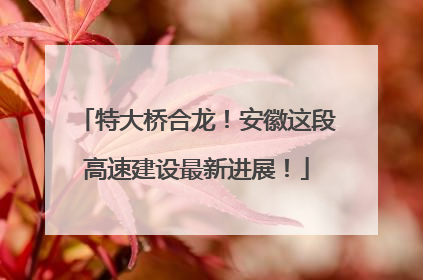 特大桥合龙！安徽这段高速建设最新进展！