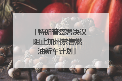 特朗普签署决议 阻止加州禁售燃油新车计划