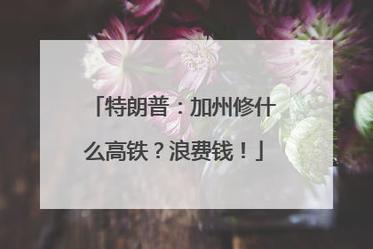 特朗普：加州修什么高铁？浪费钱！