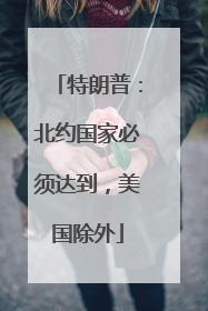 特朗普：北约国家必须达到，美国除外