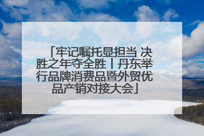 牢记嘱托显担当 决胜之年夺全胜丨丹东举行品牌消费品暨外贸优品产销对接大会