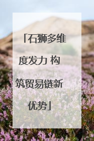 石狮多维度发力 构筑贸易链新优势