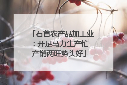 石首农产品加工业：开足马力生产忙 产销两旺势头好