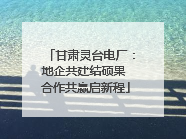 甘肃灵台电厂：地企共建结硕果 合作共赢启新程