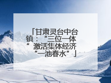 甘肃灵台中台镇：“三位一体”激活集体经济“一池春水”