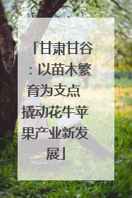 甘肃甘谷：以苗木繁育为支点 撬动花牛苹果产业新发展