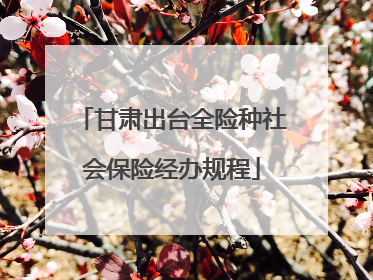 甘肃出台全险种社会保险经办规程