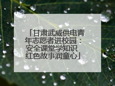 甘肃武威供电青年志愿者进校园：安全课堂学知识 红色故事润童心