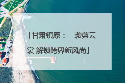 甘肃镇原：一袭剪云裳 解锁跨界新风尚