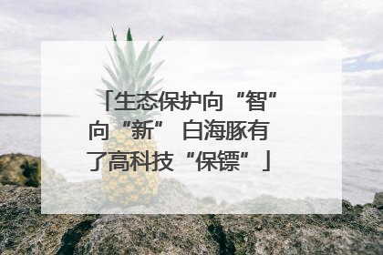 生态保护向“智”向“新” 白海豚有了高科技“保镖”