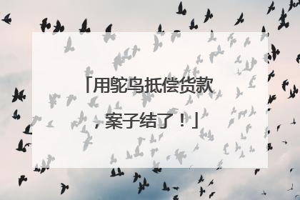用鸵鸟抵偿货款，案子结了！