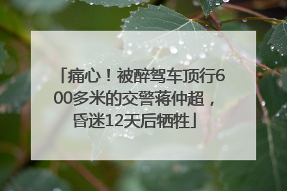 痛心！被醉驾车顶行600多米的交警蒋仲超，昏迷12天后牺牲