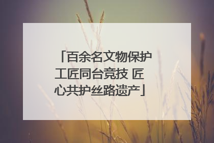 百余名文物保护工匠同台竞技 匠心共护丝路遗产