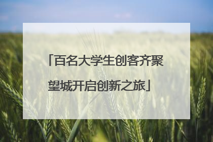 百名大学生创客齐聚望城开启创新之旅