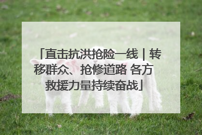 直击抗洪抢险一线｜转移群众、抢修道路 各方救援力量持续奋战