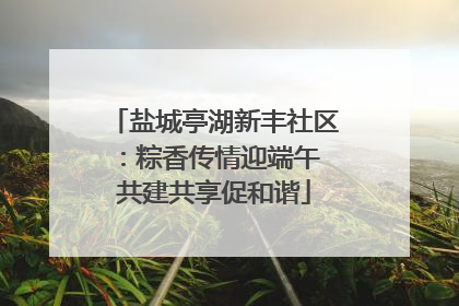 盐城亭湖新丰社区：粽香传情迎端午 共建共享促和谐