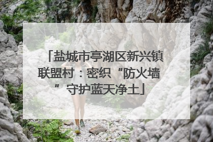 盐城市亭湖区新兴镇联盟村：密织“防火墙”守护蓝天净土