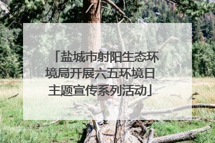 盐城市射阳生态环境局开展六五环境日主题宣传系列活动