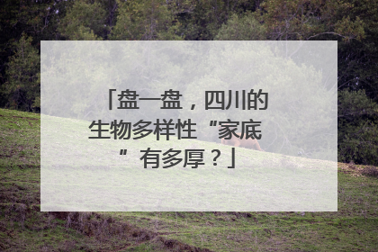 盘一盘，四川的生物多样性“家底”有多厚？