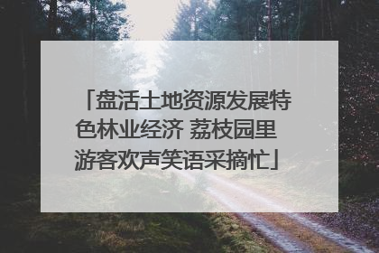 盘活土地资源发展特色林业经济 荔枝园里游客欢声笑语采摘忙