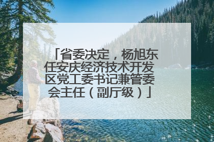 省委决定，杨旭东任安庆经济技术开发区党工委书记兼管委会主任（副厅级）