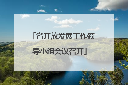 省开放发展工作领导小组会议召开