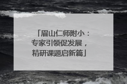 眉山仁师附小：专家引领促发展，精研课题启新篇