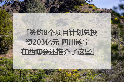 签约8个项目计划总投资203亿元 四川遂宁在西博会还推介了这些