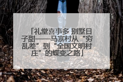 礼堂喜事多 别墅日子甜——马寨村从“穷乱差”到“全国文明村庄”的蝶变之路