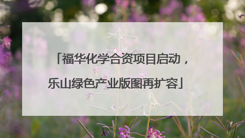 福华化学合资项目启动，乐山绿色产业版图再扩容