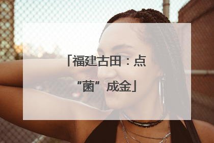 福建古田：点“菌”成金