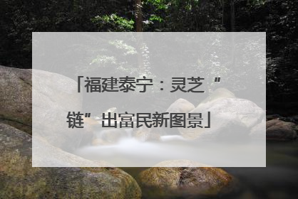 福建泰宁：灵芝“链”出富民新图景