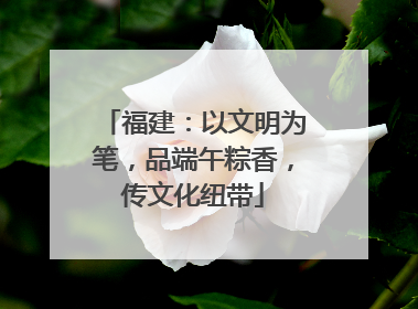福建：以文明为笔，品端午粽香，传文化纽带