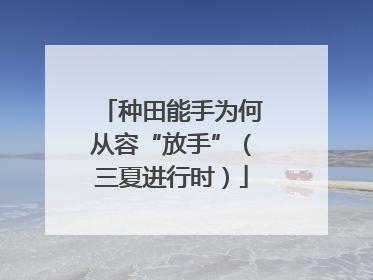 种田能手为何从容“放手”（三夏进行时）