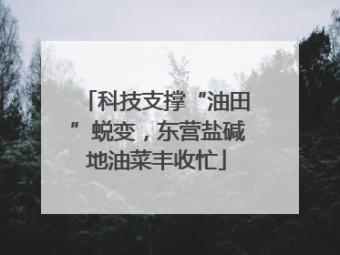 科技支撑“油田”蜕变，东营盐碱地油菜丰收忙