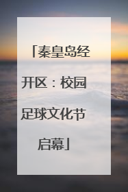 秦皇岛经开区：校园足球文化节启幕