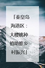 秦皇岛海港区：大樱桃种植助推乡村振兴