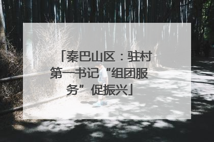 秦巴山区：驻村第一书记“组团服务”促振兴