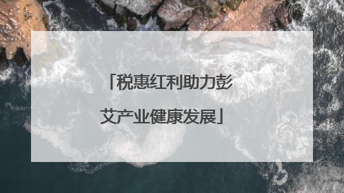 税惠红利助力彭艾产业健康发展