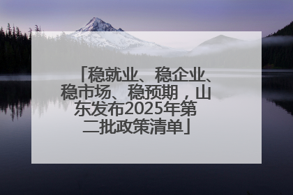 稳就业、稳企业、稳市场、稳预期，山东发布2025年第二批政策清单