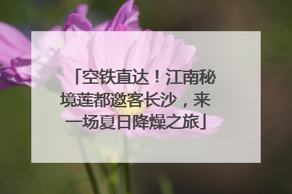 空铁直达！江南秘境莲都邀客长沙，来一场夏日降燥之旅