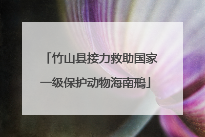 竹山县接力救助国家一级保护动物海南鳽
