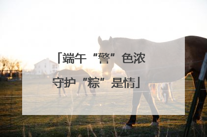 端午“警”色浓 守护“粽”是情