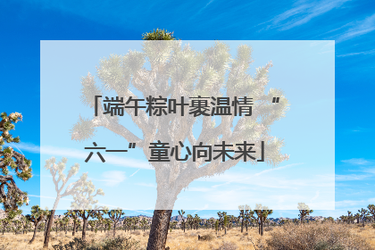 端午粽叶裹温情 “六一”童心向未来