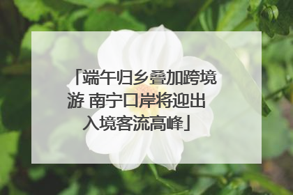 端午归乡叠加跨境游 南宁口岸将迎出入境客流高峰
