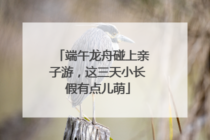 端午龙舟碰上亲子游，这三天小长假有点儿萌
