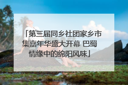 第三届同乡社团家乡市集嘉年华盛大开幕 巴蜀情缘中的绵阳风味
