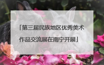 第三届民族地区优秀美术作品交流展在南宁开展